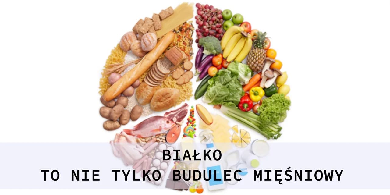 Czy białko jest zdrowe? Poznaj jego korzyści i potencjalne zagrożenia
