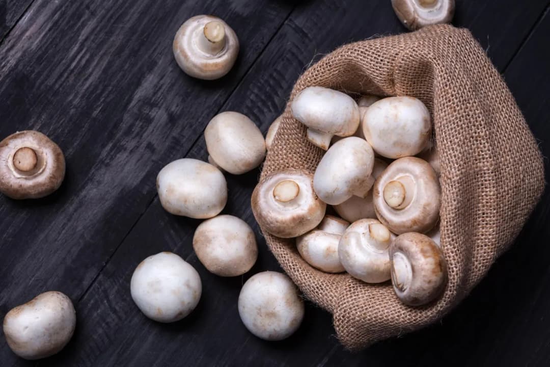 Czy pieczarki są zdrowe? Poznaj ich niezwykłe właściwości zdrowotne