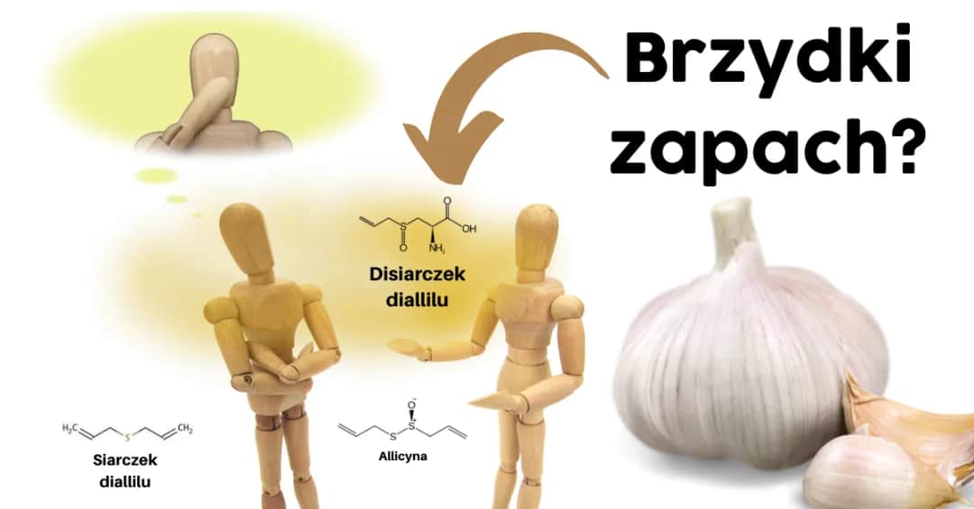 Czy czosnek jest zdrowy? Odkryj jego niesamowite właściwości!