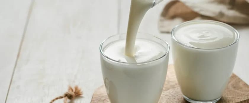 Czy maślanka jest zdrowa: 7 niesamowitych korzyści dla Twojego organizmu