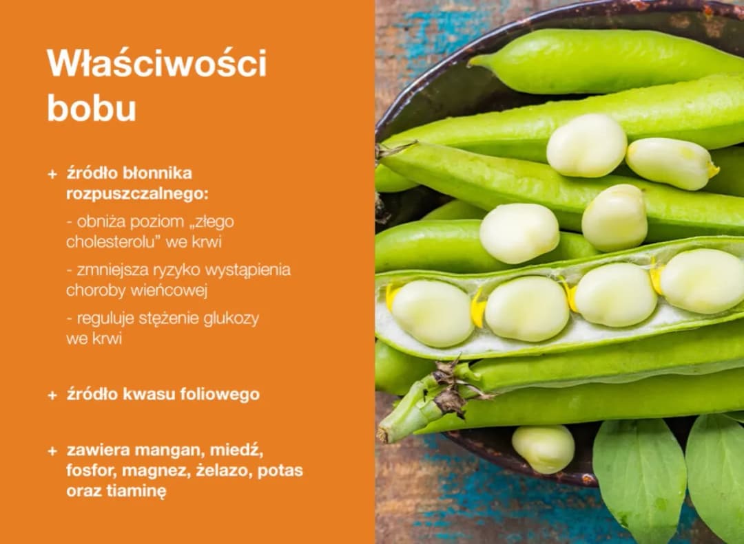 Czy bób jest zdrowy? Poznaj prawdę o wartościach odżywczych i korzyściach