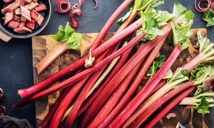 Czy rabarbar jest zdrowy? Odkryj jego właściwości i potencjalne ryzyko