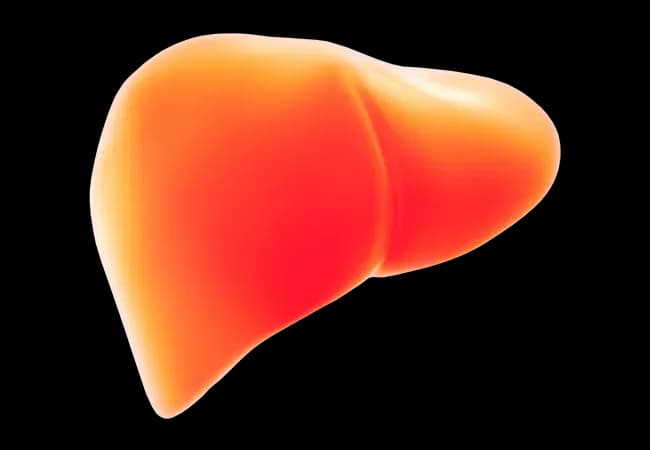 Ile czasu regeneruje się wątroba: Jak długo trwa regeneracja wątroby?