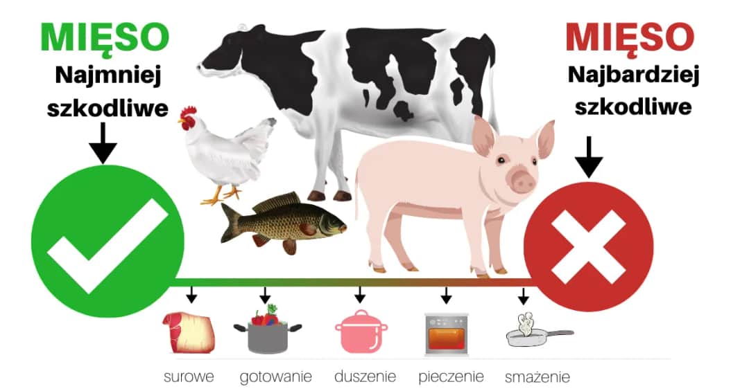 Czy mięso jest zdrowe? Poznaj korzyści i zagrożenia spożycia mięsa